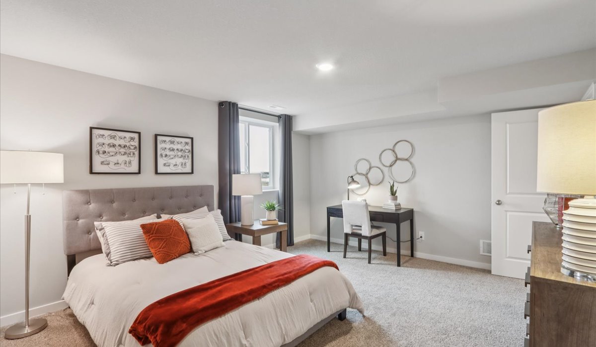 Spacious basement bedroom with large closet attached