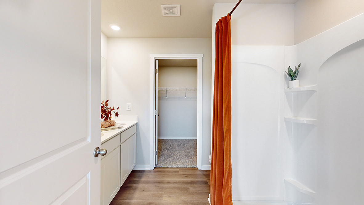 Our new home en suite design with step-in shower, bright overhead lighting, full length vanity, walk-in closet
