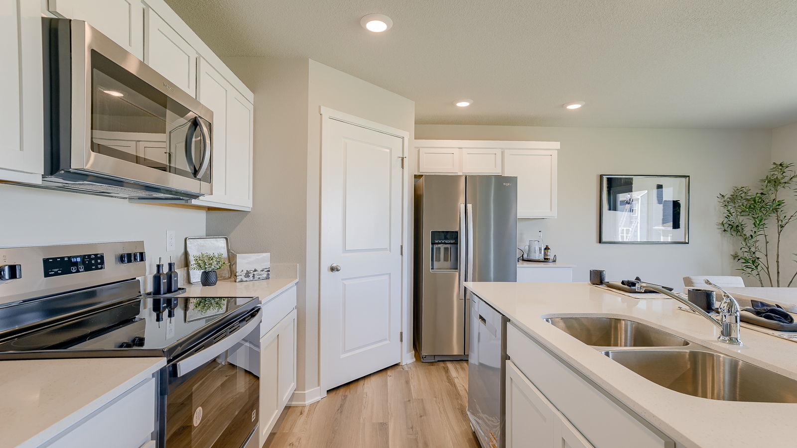 Door of walk-in pantry and stainless steel appliances in Hamilton kitchen