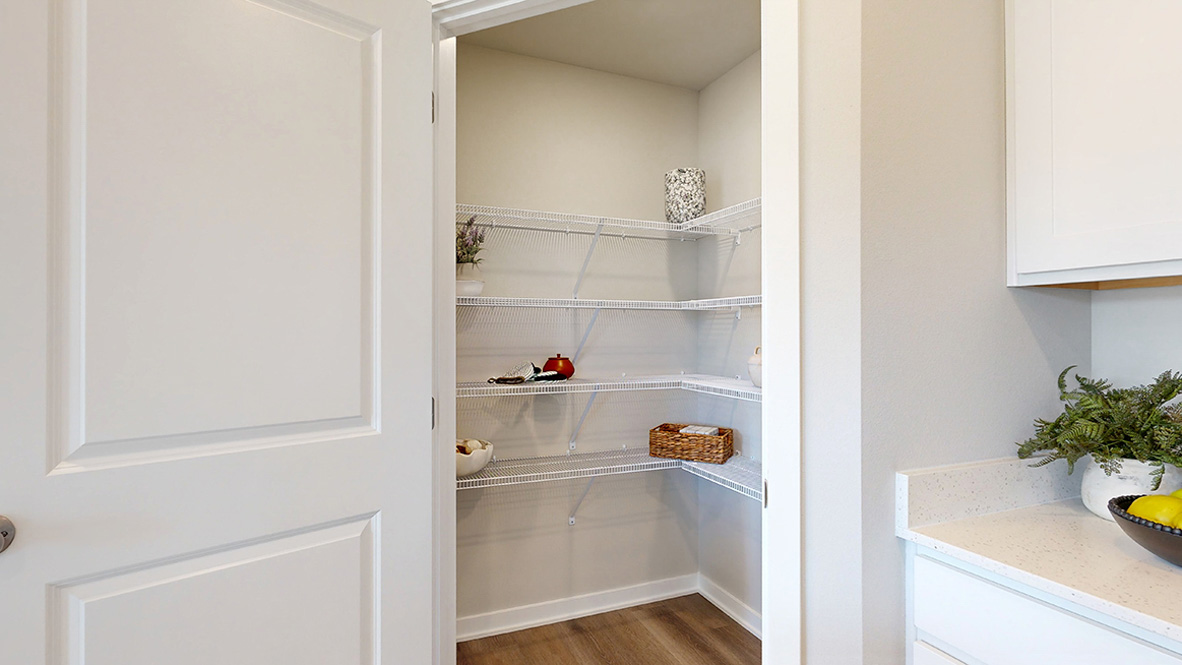 Walk-in pantry in the Hamilton kitchen