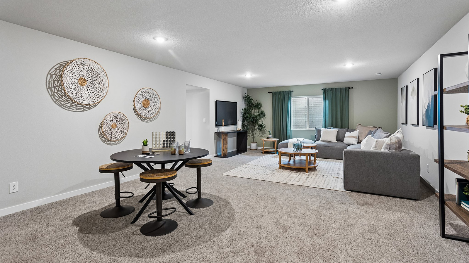 Overview of the Abbott finished basement living room