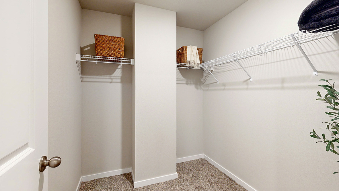 Roland primary walk-in closet