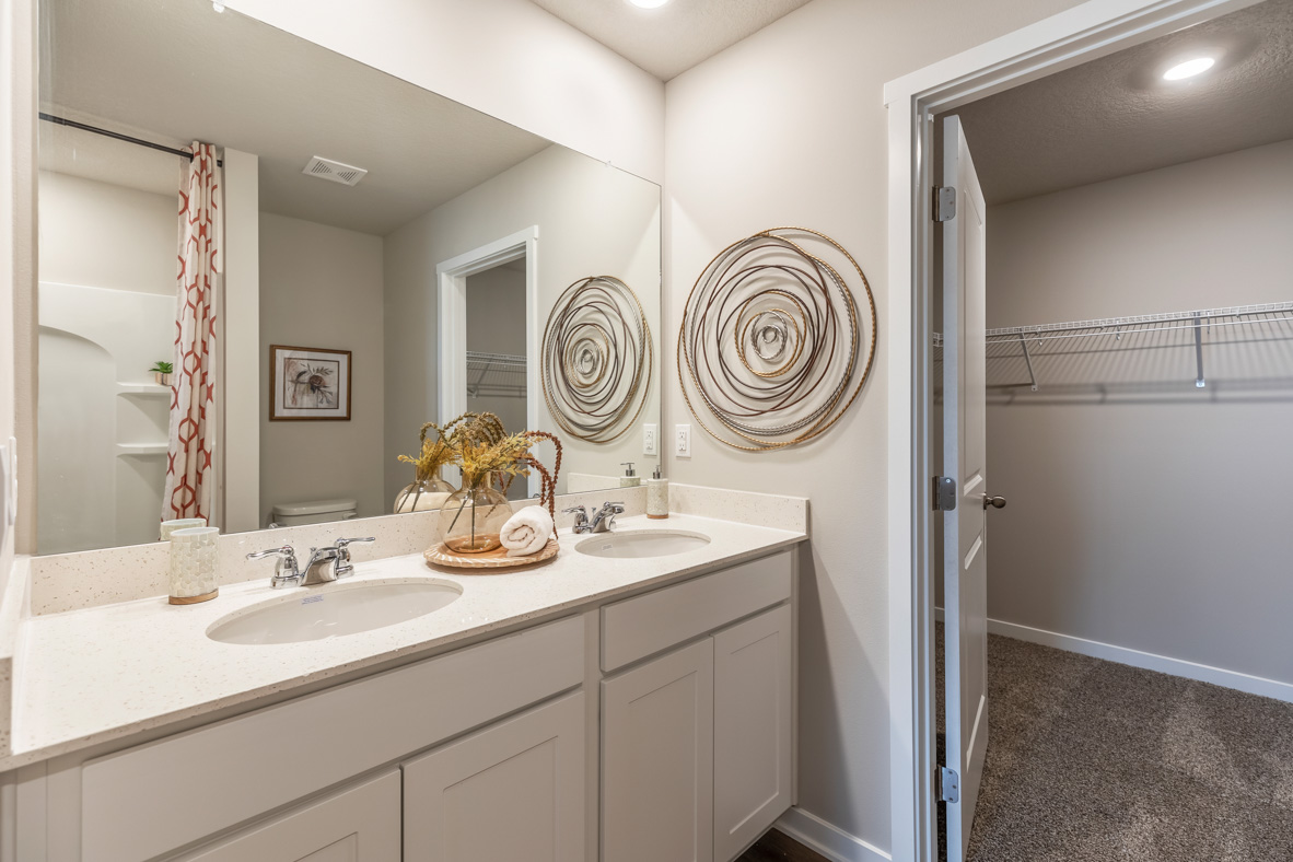 Primary Bedroom with large mirror and walk-in closet
