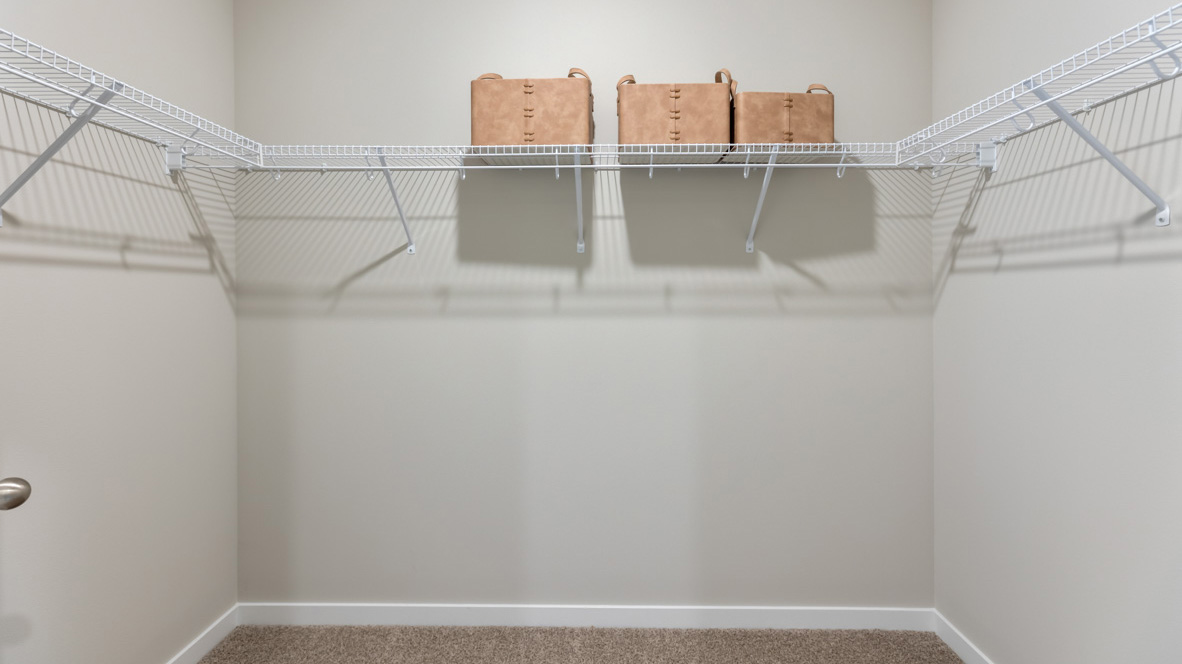 Walk-in closet with shelving