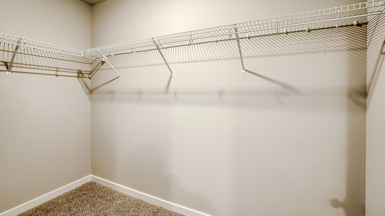 Bellhaven primary walk in closet