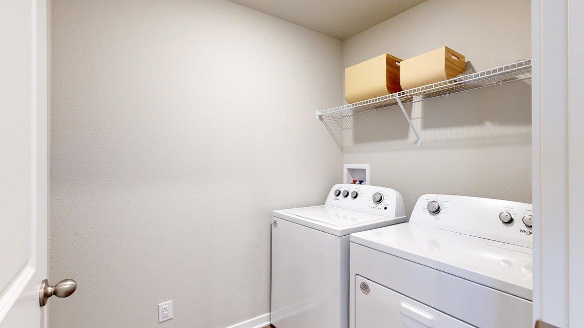 Hamilton laundry room with shelves