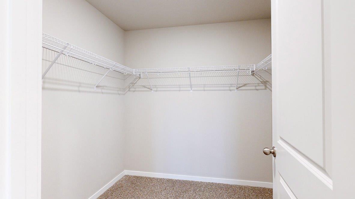large walk in closet, in the master bathroom of the hamilton