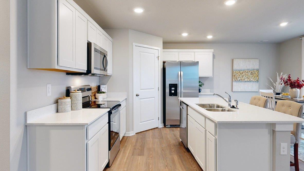 Hamilton kitchen with white cabinetry, stainless steel appliances and a walk in pantry
