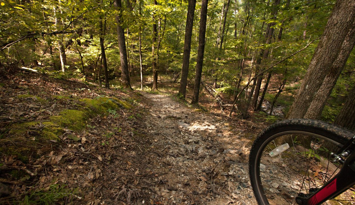Mountain Bike Trails