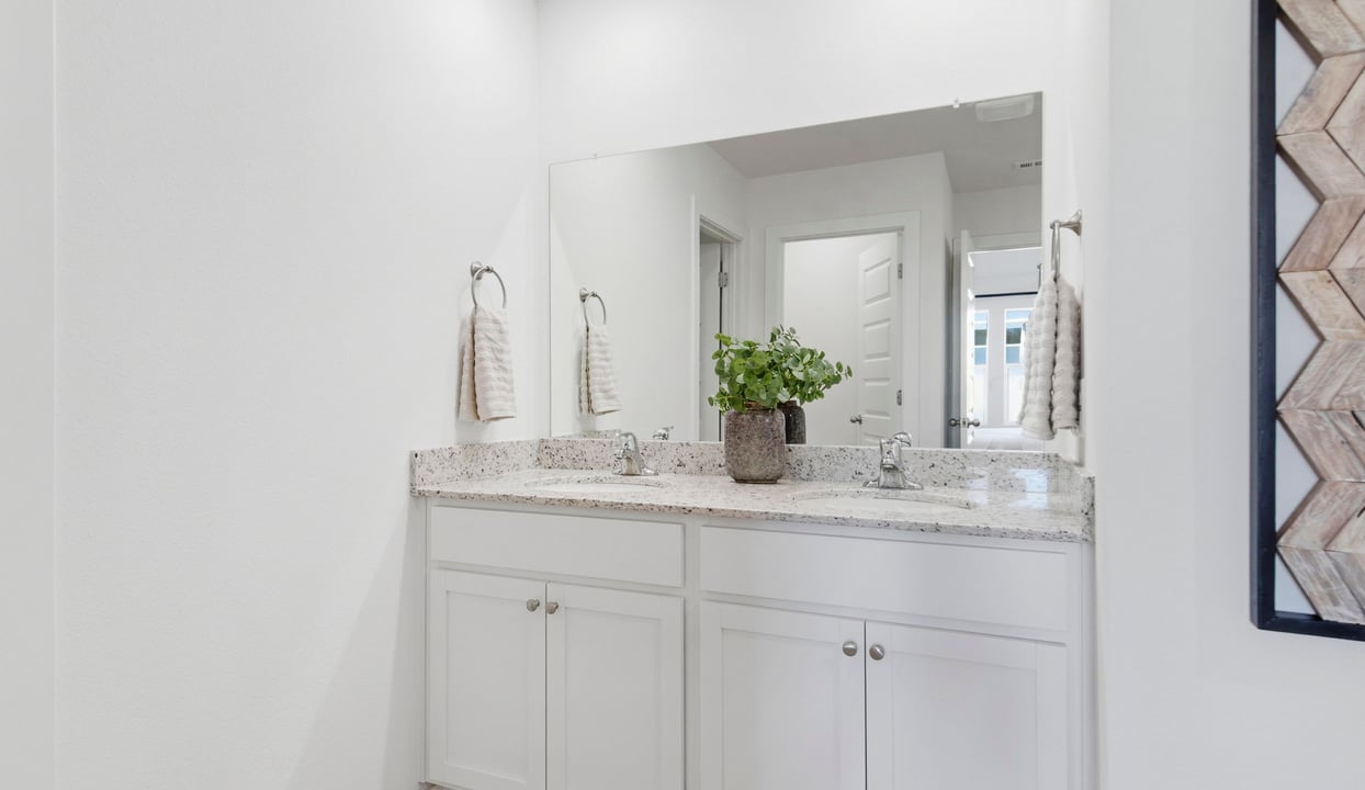 Primary Vanity