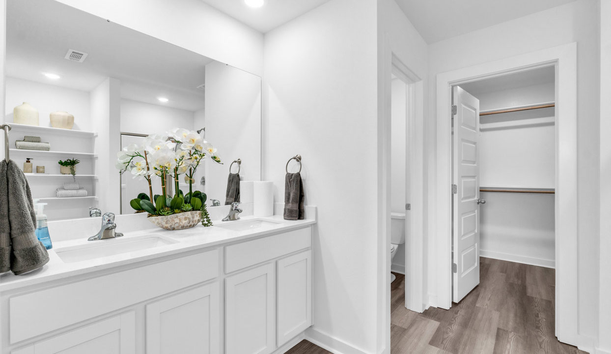 Primary Vanity