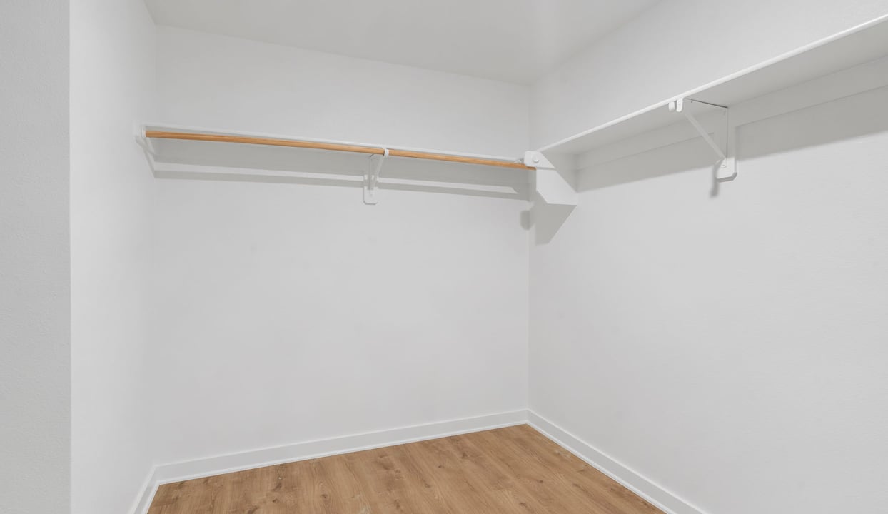 Primary Closet