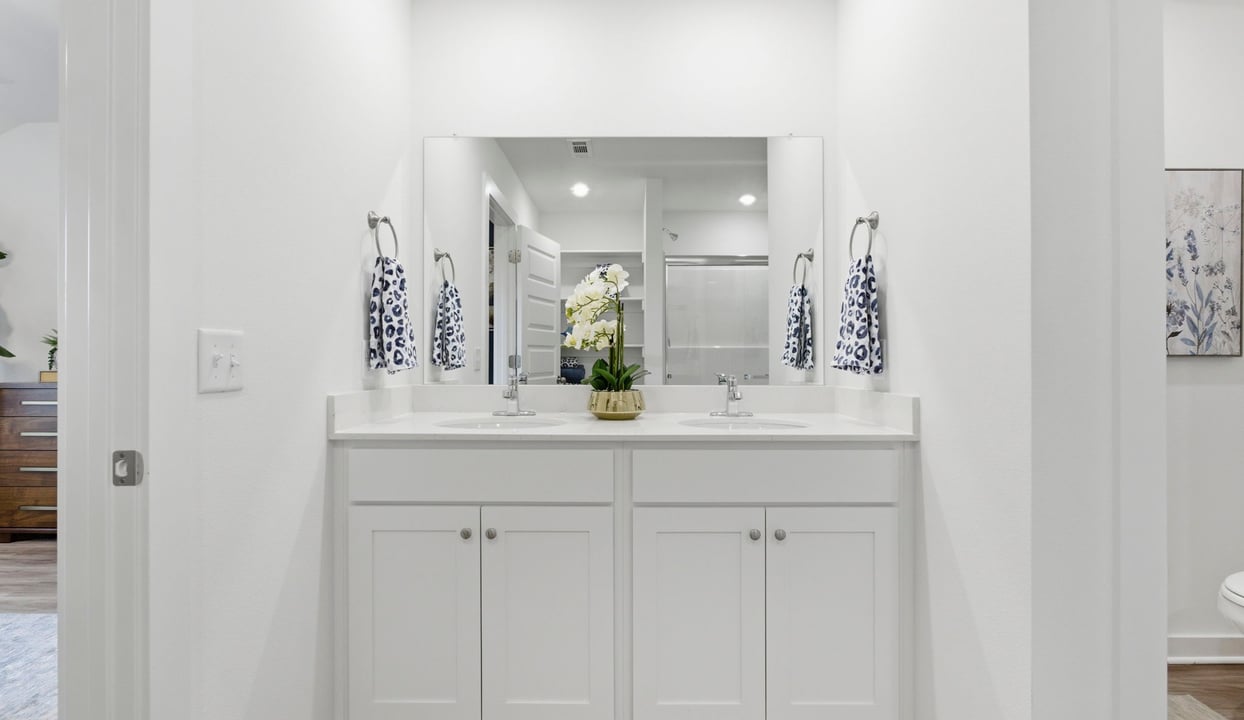 Primary Vanity