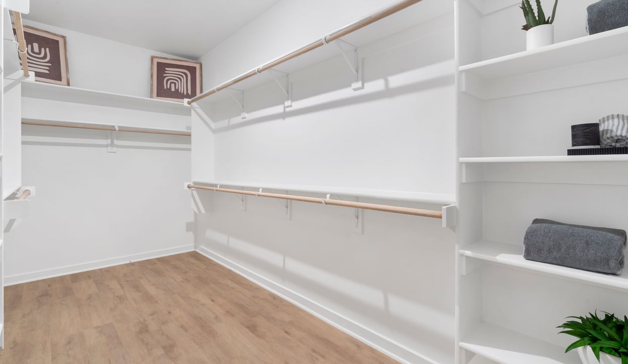 Primary Closet