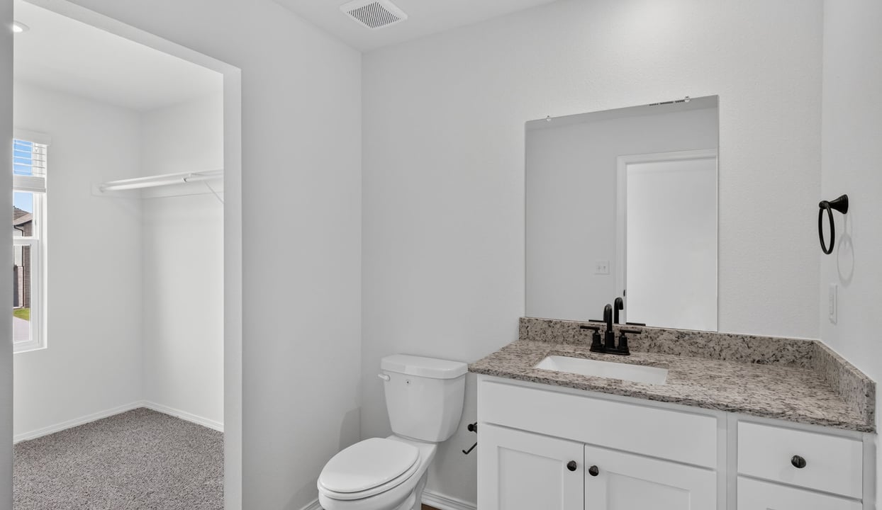 Primary Vanity