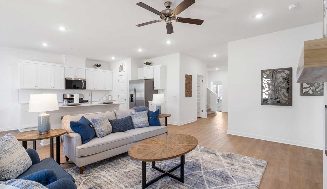 Living and Kitchen