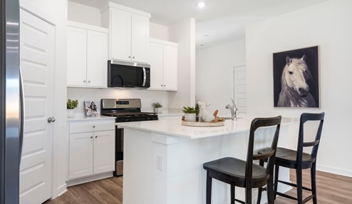 Kitchen and Entry