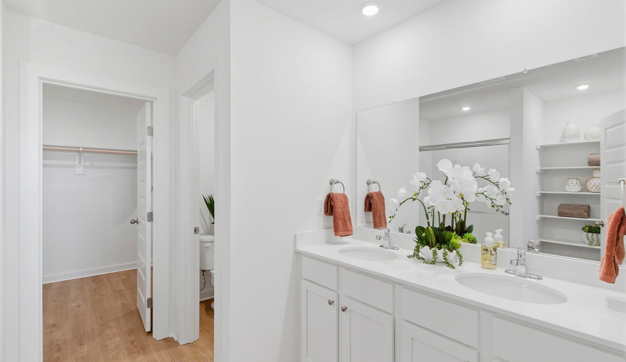Primary Vanity