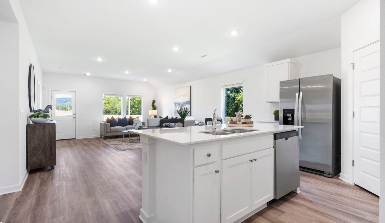 Kitchen and Living