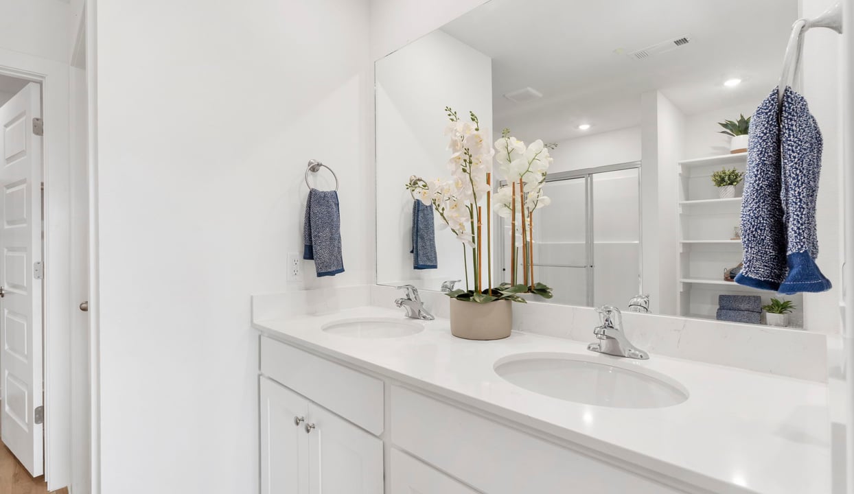 Primary Vanity