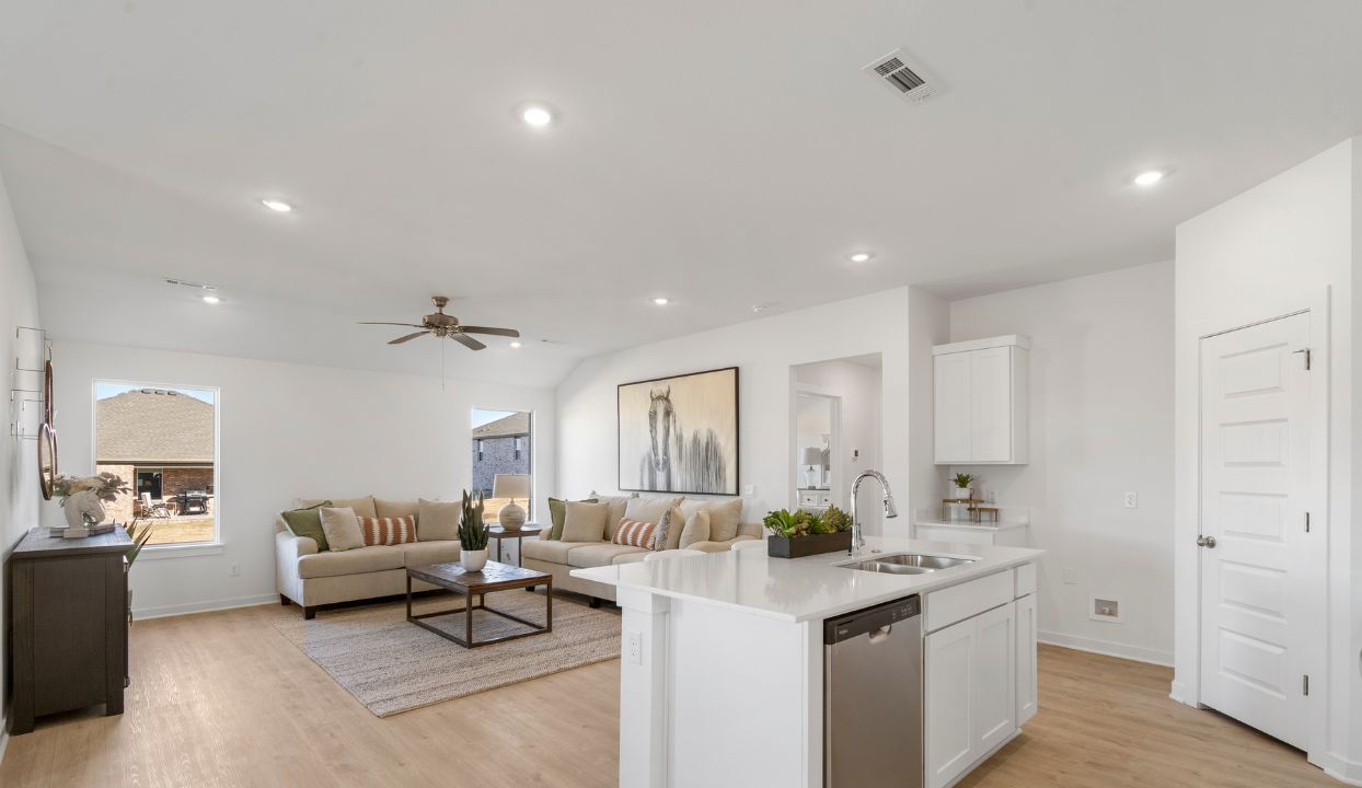 Living and Kitchen