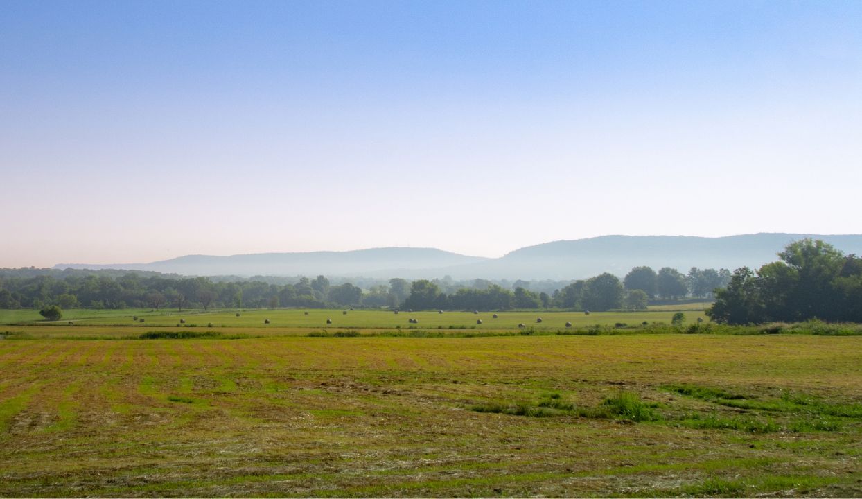 Prairie Grove Landscape