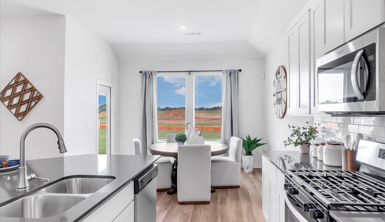 Kitchen and Breakfast