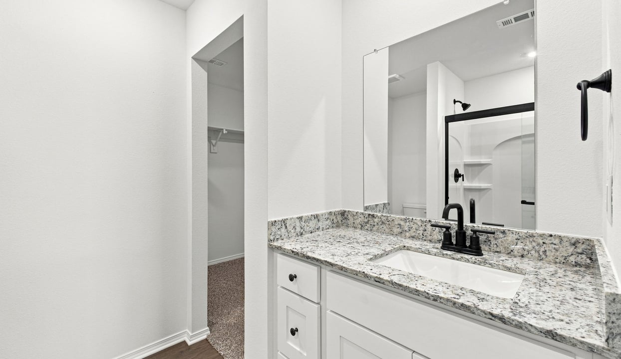 Primary Vanity