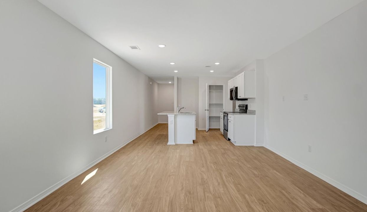 Living and Kitchen