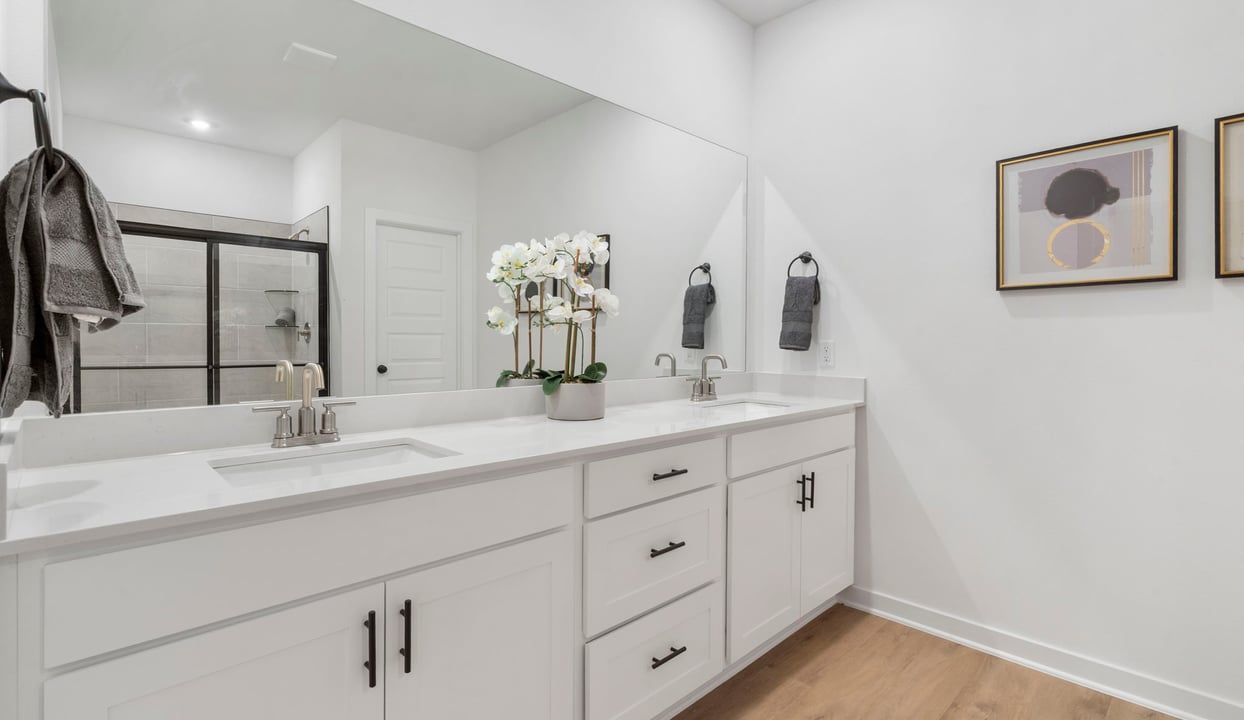 Primary Vanity
