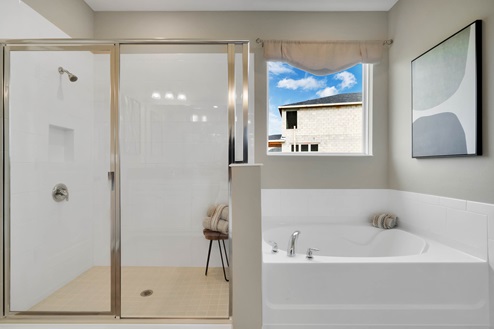 Walk-in shower next to bathtub with natural lighting.