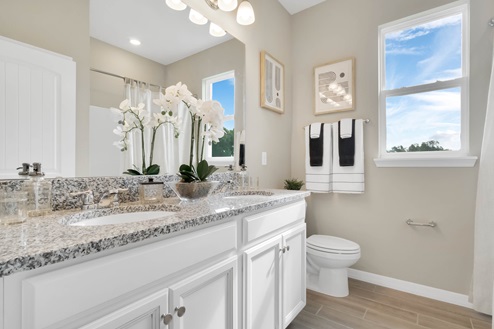 Modern bathroom with double vanity, large wall mirror, cabinets and granite countertops and toilet.