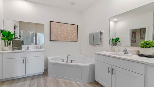 master bathroom showing single vanity with granite countertops and bathtub.