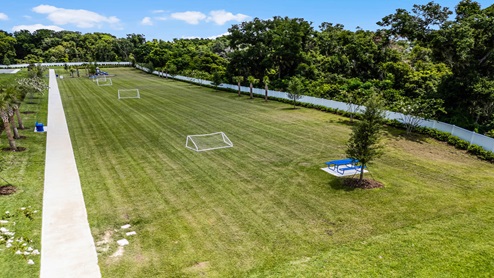 Park Amenity