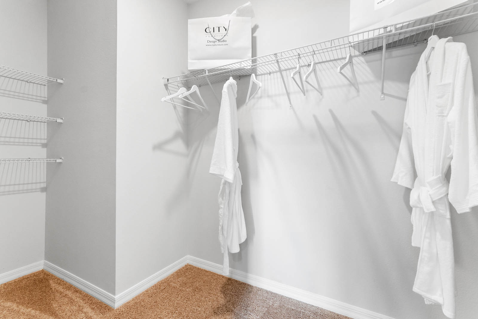 walk in closet with carpet throughout