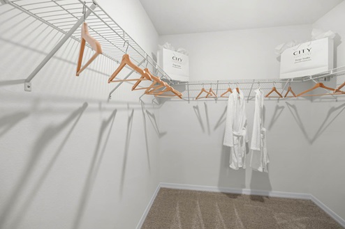 primary walk in closet with carpet throughout the home