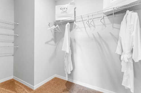 walk in closet with carpet