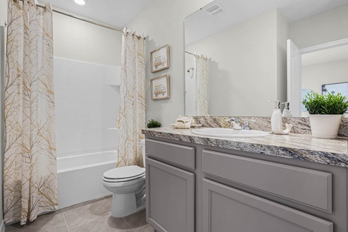 Guest bathroom with tub