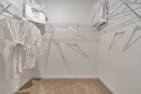 Master closet with carpet throughout