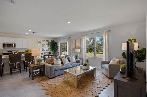 Living room with the kitchen behind