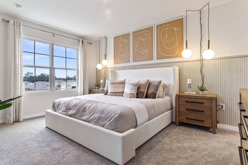 Primary bedroom with king size bed and two windows