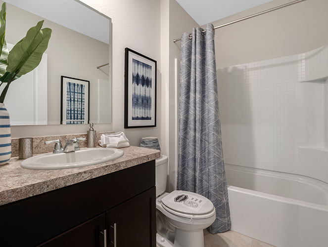 Guest bathroom with tub