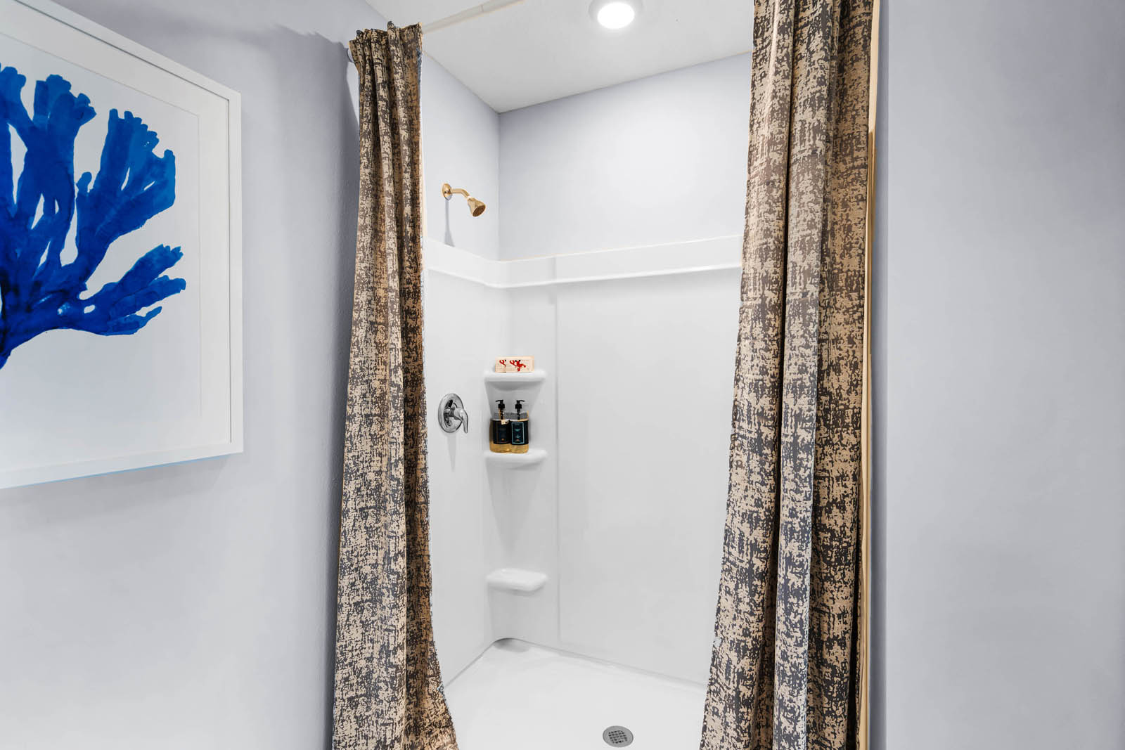 Master bathroom walk in shower
