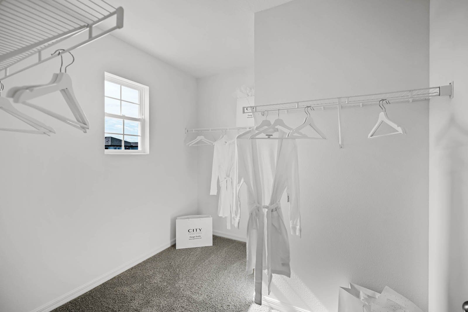 Master walk in closet with carpet throughout