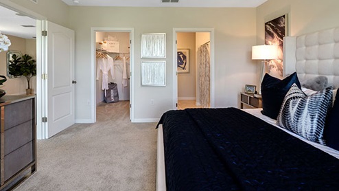 Primary bedroom with king size bed and walk in closet