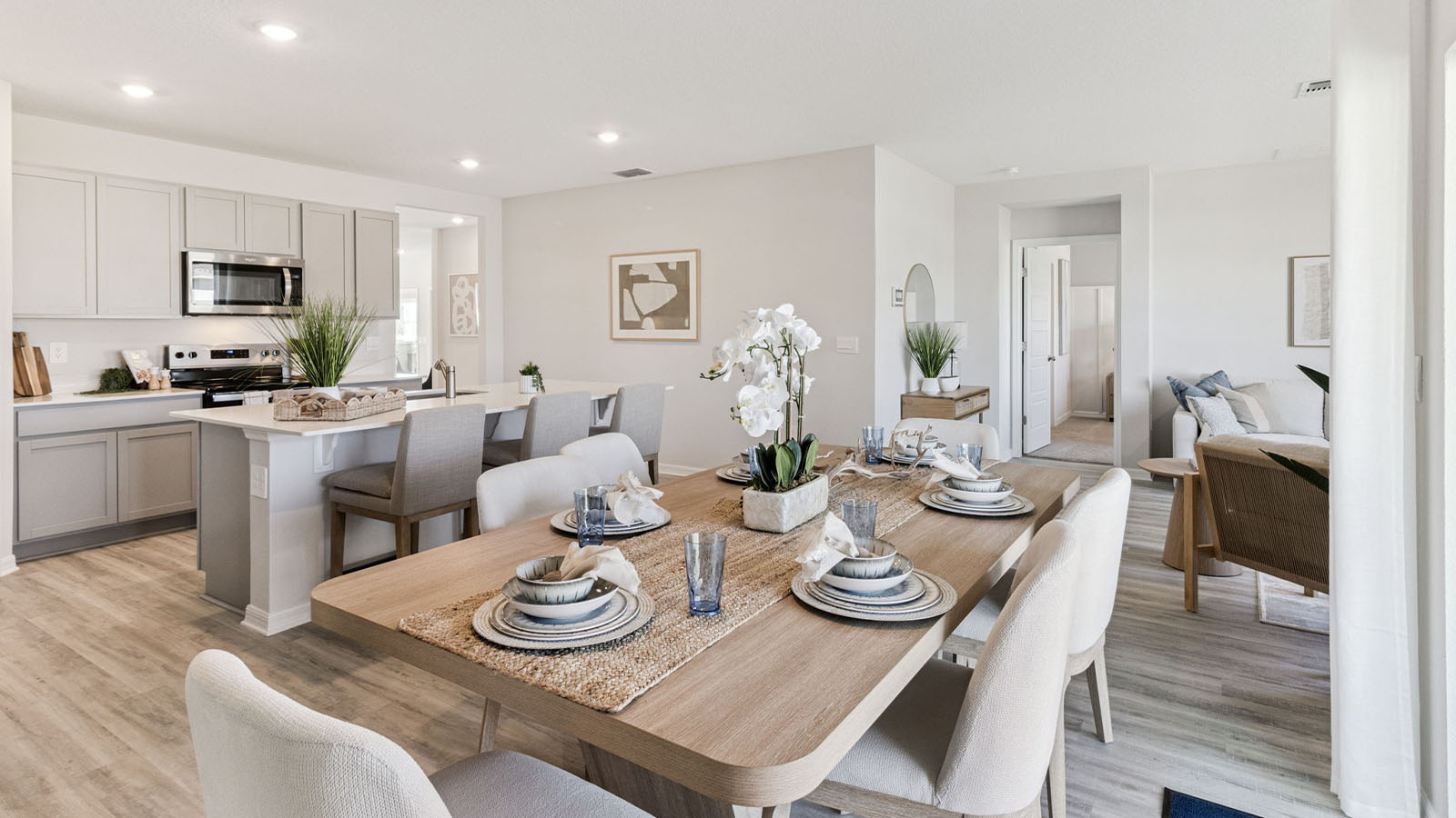 Dining Room Area in the Living Room