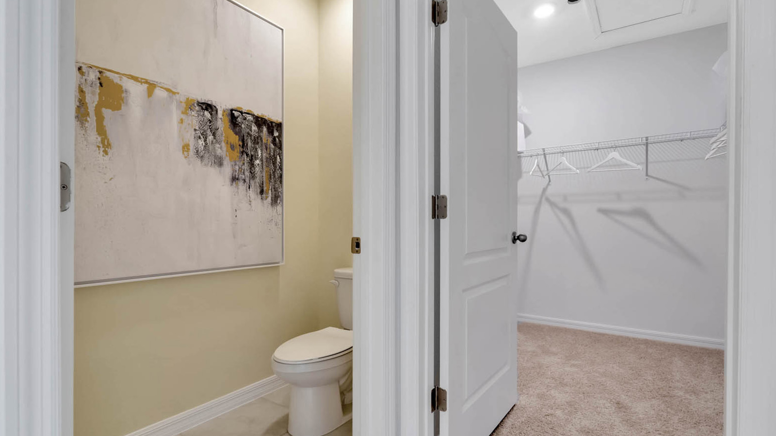 master bathroom closet and toilet