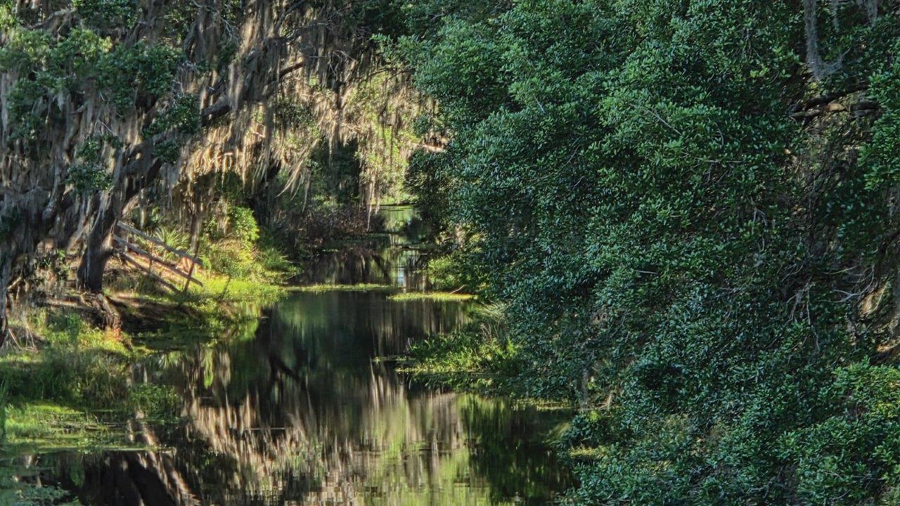 Horse Creek located East of Atria at Ridgewood Lakes