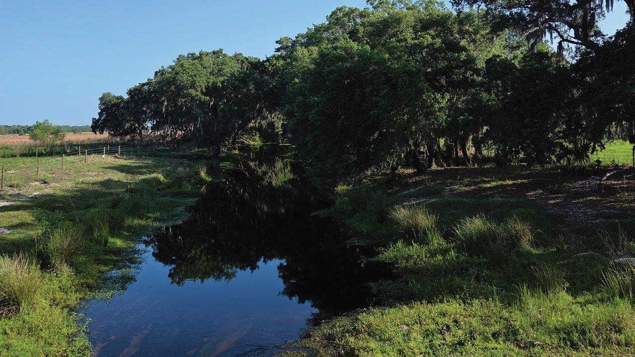 Image of Horse Creek, located just East