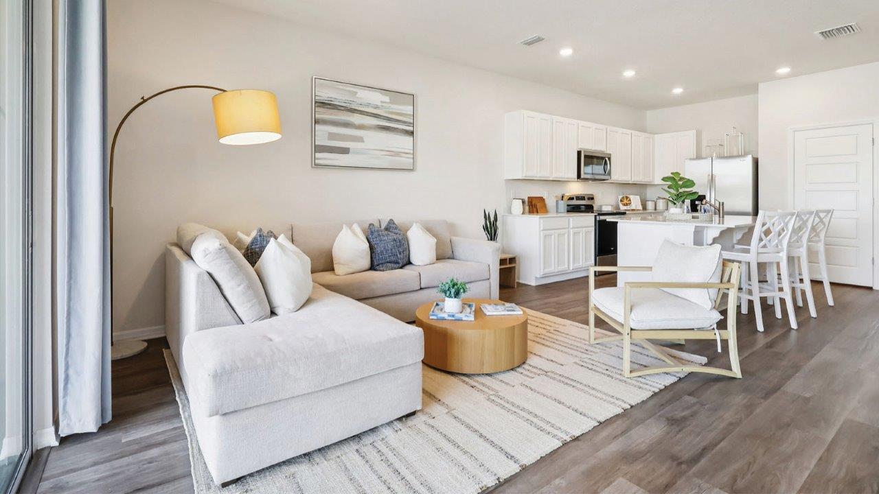 Living room and kitchen